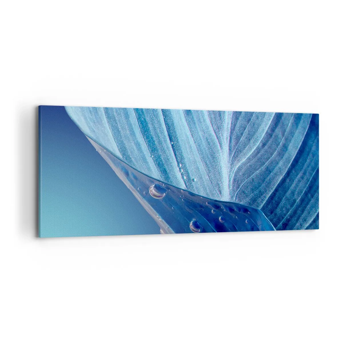Quadro su tela - Stampe su Tela - Una foglia blu con gocce d'acqua visibili - 120x50cm - Gocce di blu nascoste - Decorazione murale moderna per soggiorno e camera da letto ARTTOR
