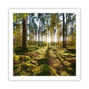 Poster - …dopo sette foreste - 60x60 cm