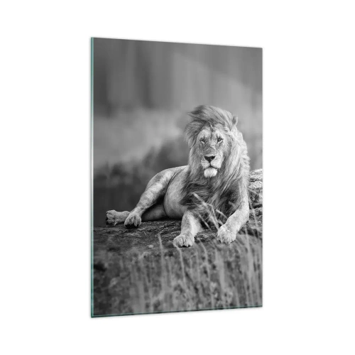 Quadro su vetro - Leone appoggiato su una roccia in stile monocromatico - 80x120cm - La siesta del re - Decorazione murale moderna per soggiorno e camera da letto ARTTOR