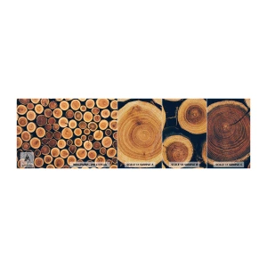 Campione di Fotomurale Premium Sand - Quanti anni mi dai? - Tronco d'albero, foresta, Pezzo - 100x30 cm