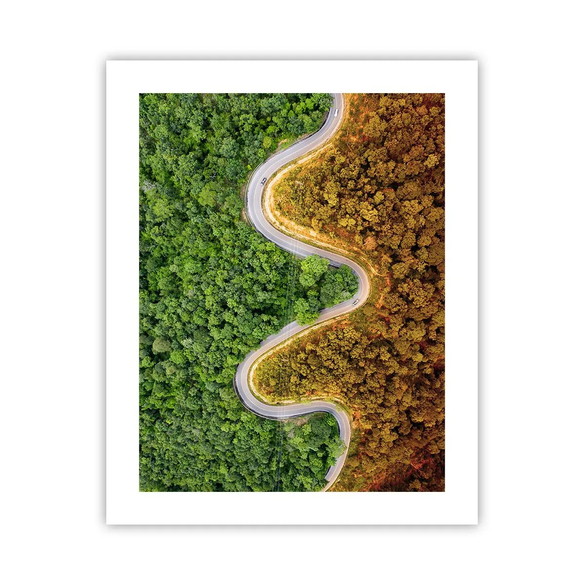 Poster - Confine e separazione - 40x50 cm
