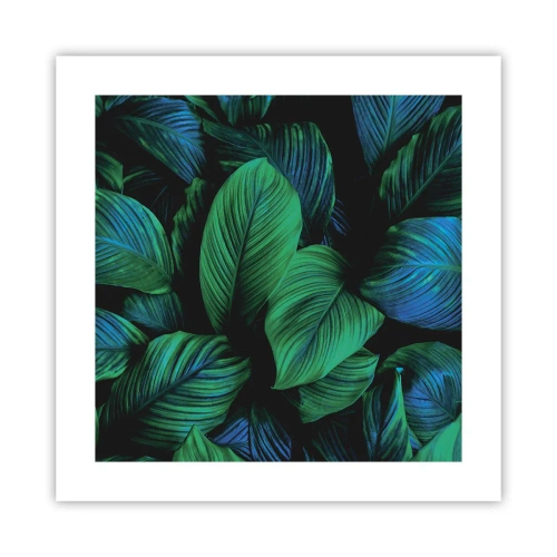 Poster - Nella folla verde - 40x40 cm