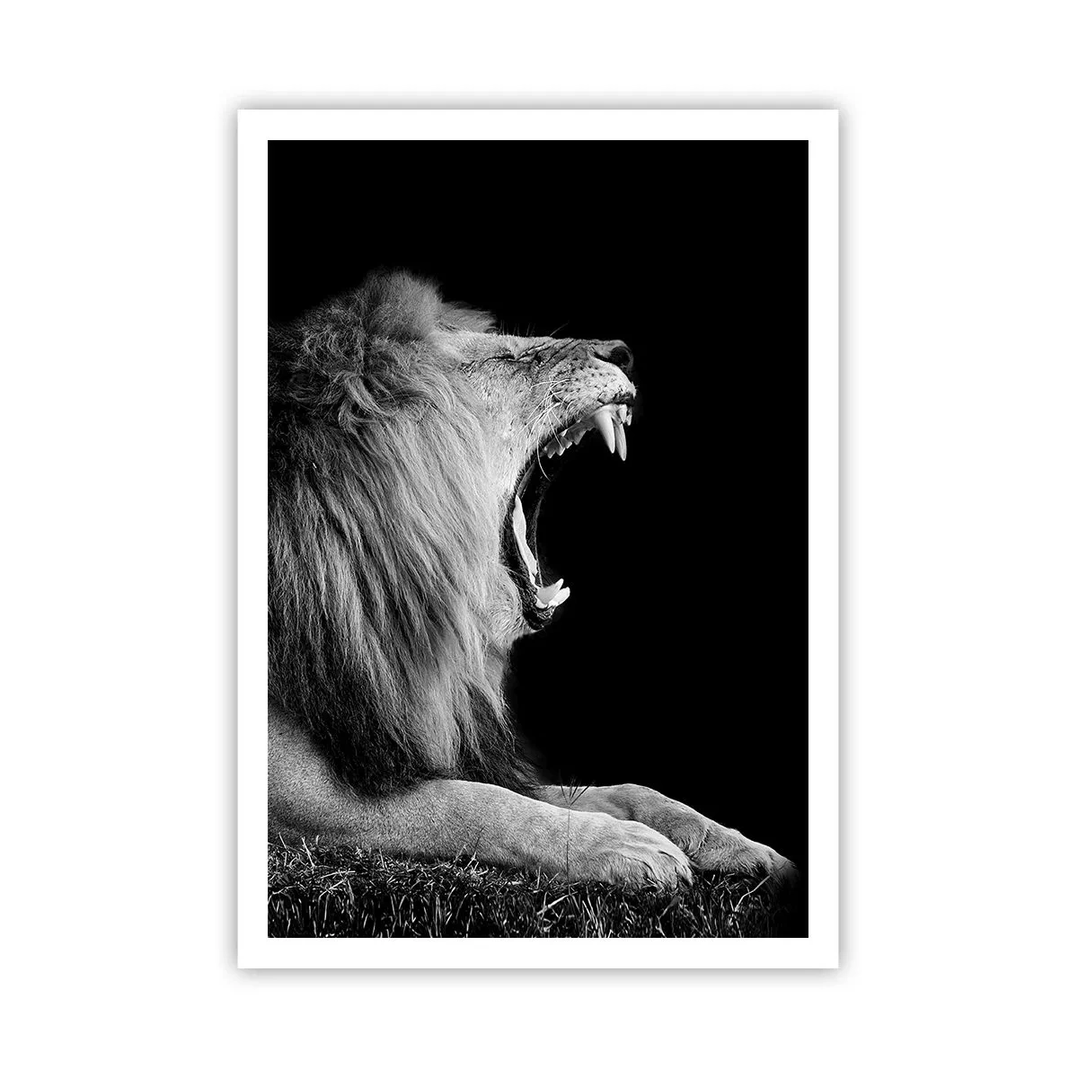 Poster - Senza alcun dubbio - 70x100 cm