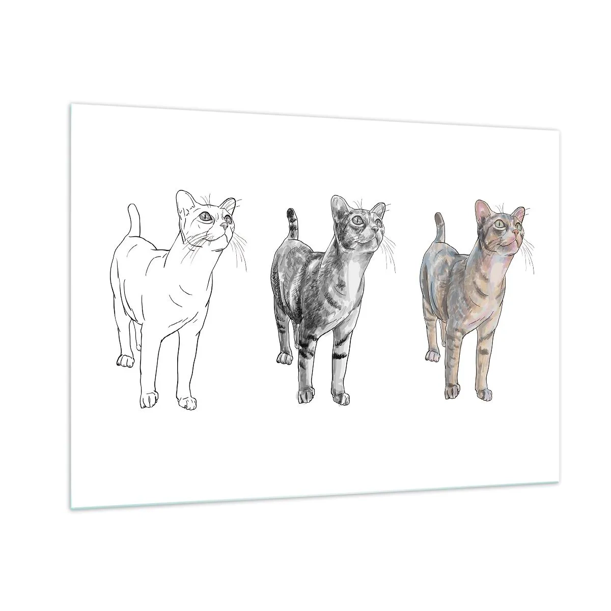 Quadro su vetro - L'evoluzione di un gatto dallo schizzo all'illustrazione a colori - 100x70cm - Lezione di disegno - Decorazione murale moderna per soggiorno e camera da letto ARTTOR