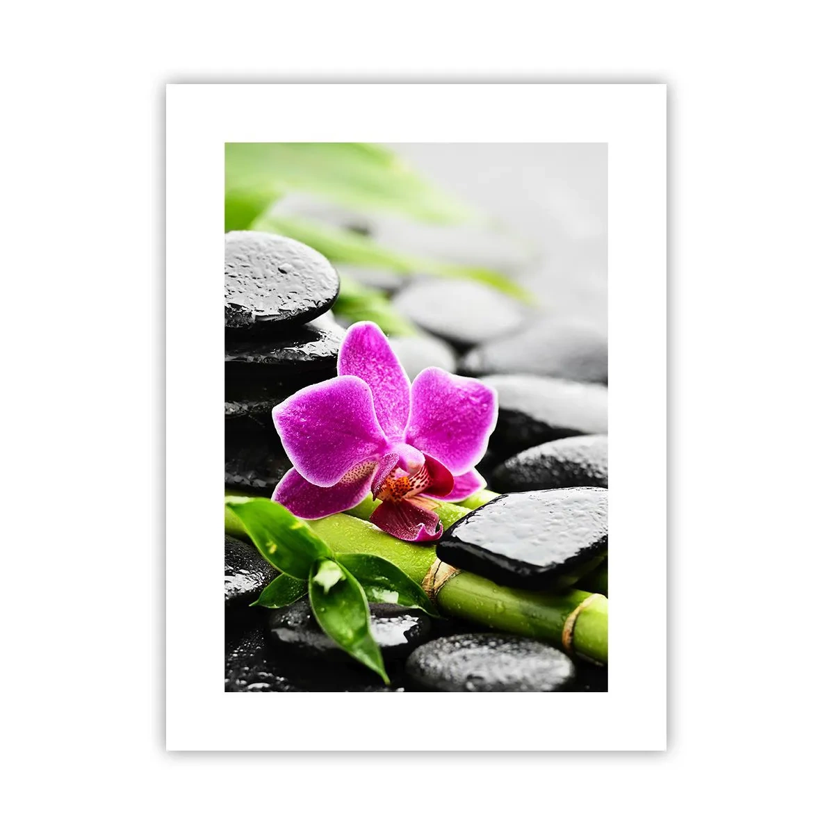 Poster - Un tranquillo equilibrio - 30x40 cm
