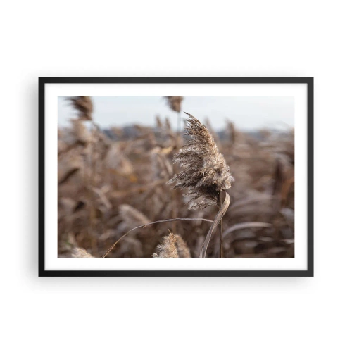 Poster in cornice nera - Delicate erbe nelle tonalità del beige sullo sfondo della natura - 70x50cm - è tempo di volare col vento - Decorazione murale moderna per soggiorno e camera da letto ARTTOR