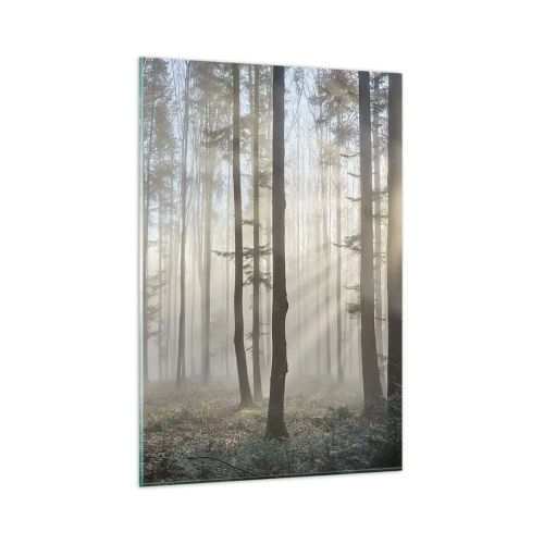 Quadro su vetro - Una foresta in una leggera nebbia con raggi di sole che brillano attraverso gli alberi - 80x120cm - Anche la nebbia si è svegliata - Decorazione murale moderna per soggiorno e camera da letto ARTTOR