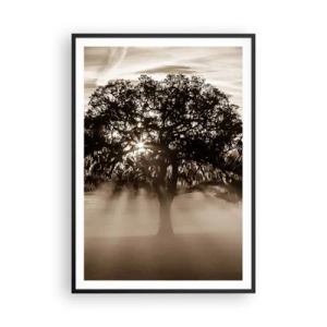 Poster in cornice nera - L'albero delle sole buone notizie - 70x100 cm