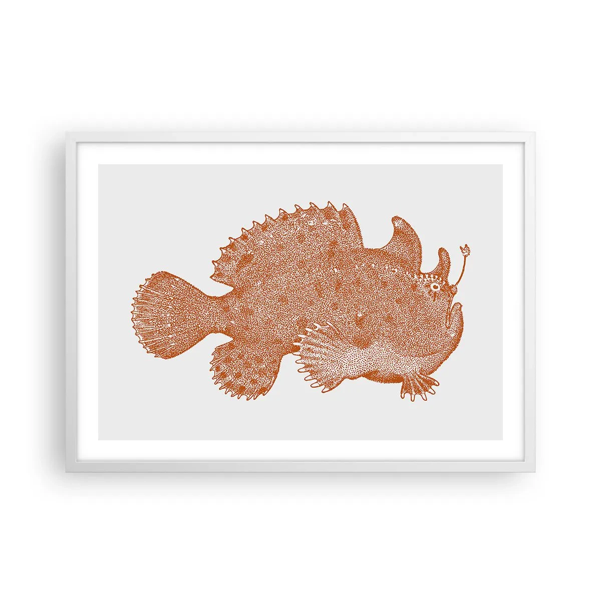 Poster in cornice bianca - È davvero un pesce - 70x50 cm