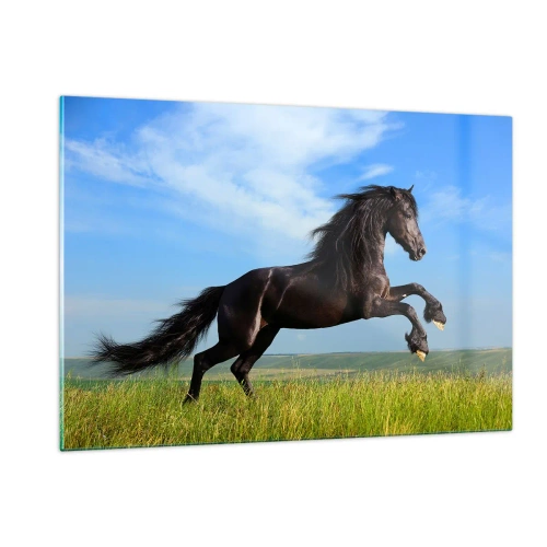 Quadro su vetro - Un cavallo nero al galoppo contro un cielo azzurro e un prato verde. - 120x80cm - Coinvolgente manifesto di libertà - Decorazione murale moderna per soggiorno e camera da letto ARTTOR