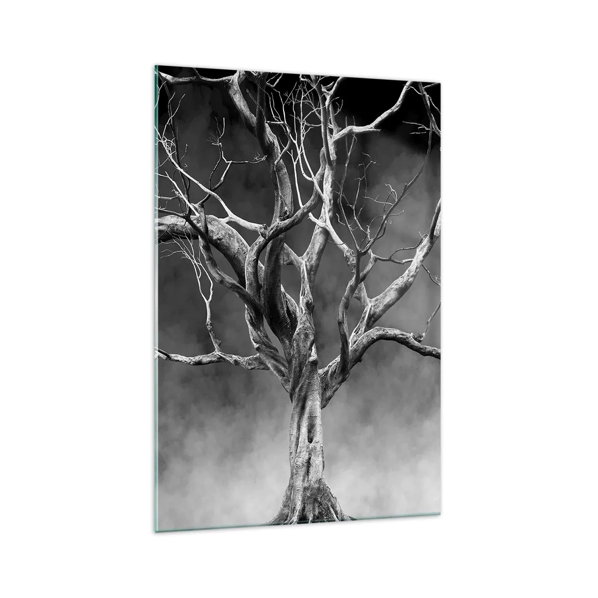 Quadro su vetro - Un albero secco in bianco e nero contro la nebbia - 70x100cm - Primordiale e sacro - Decorazione murale moderna per soggiorno e camera da letto ARTTOR