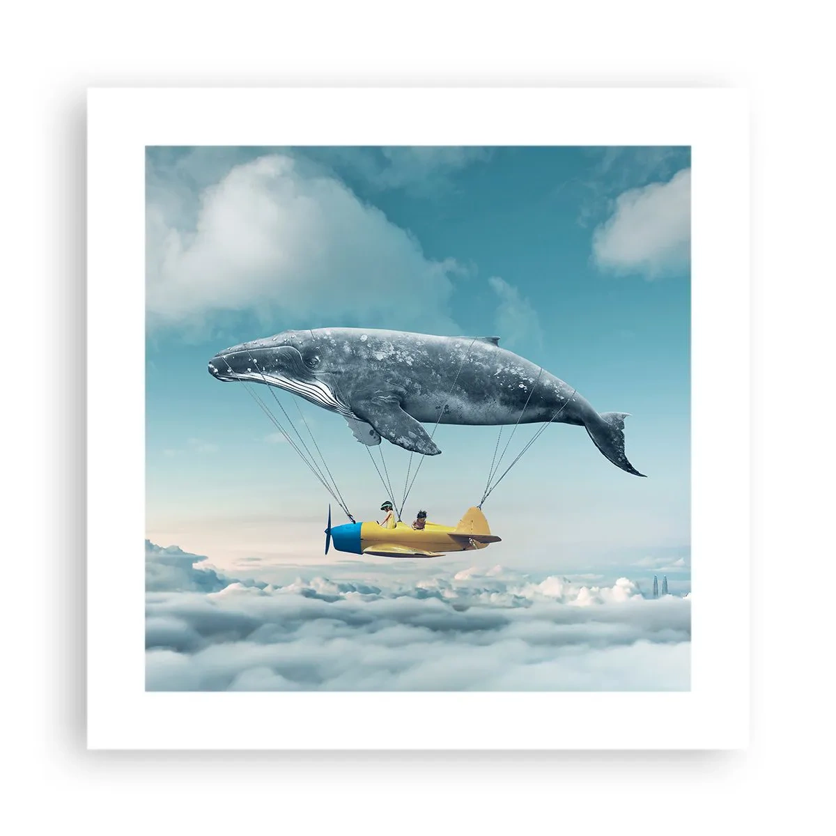 Poster - Perché no? - 40x40 cm