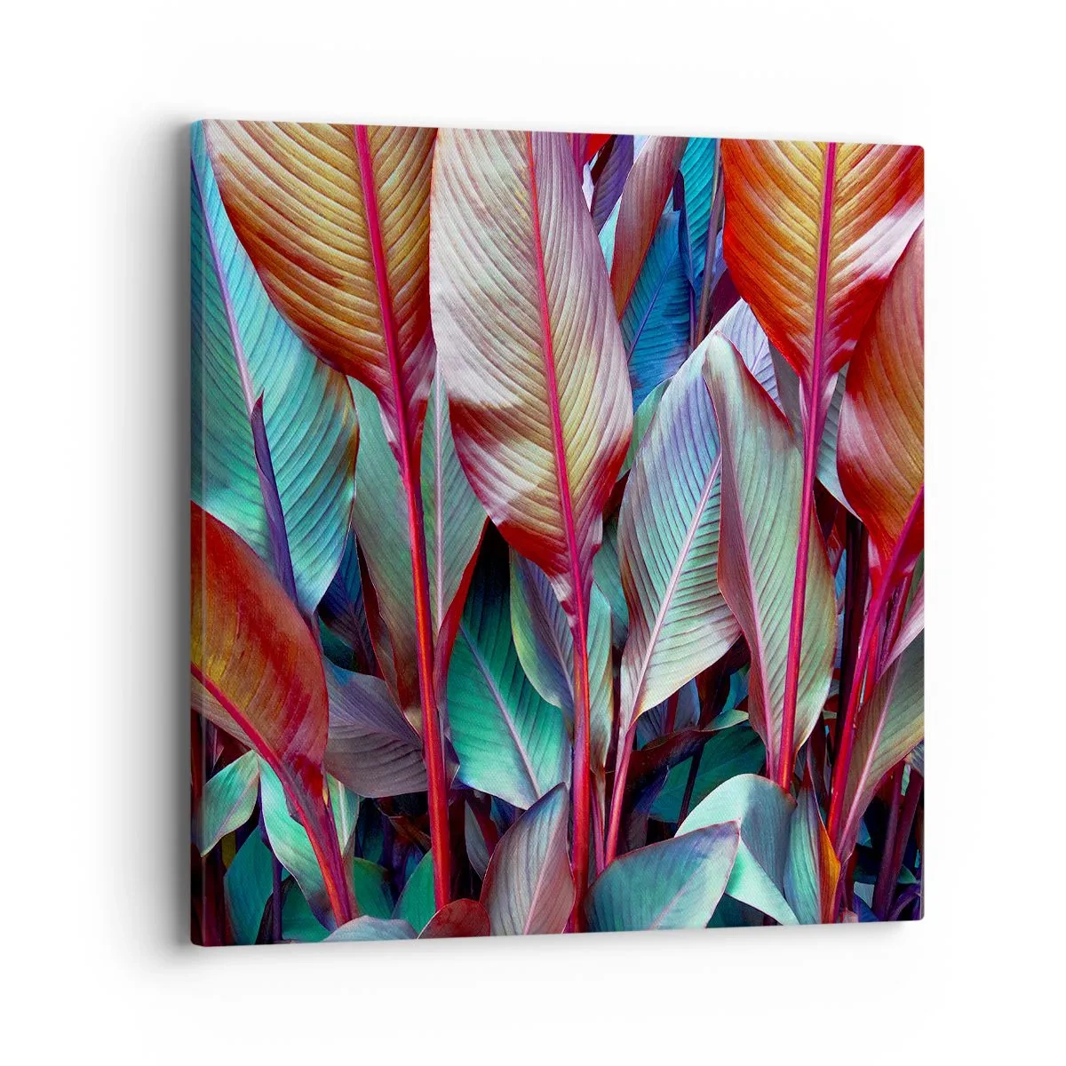 Quadro su tela - Stampe su Tela - Selva colorata - 40x40 cm