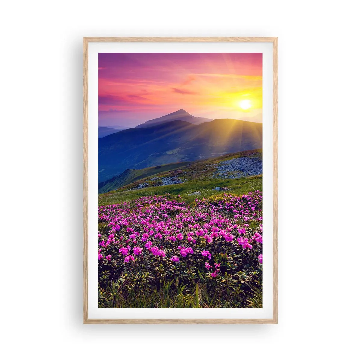 Poster in cornice rovere chiaro - Odore di mugo e profumo di erbe - 61x91 cm