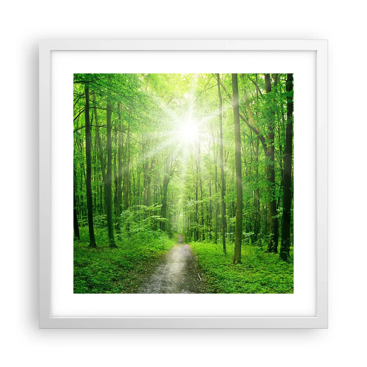 Poster in cornice bianca - Cattedrale verde - 40x40 cm