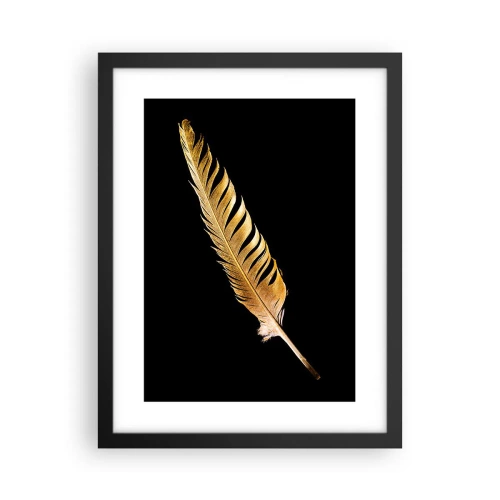 Poster in cornice nera - Non una piuma qualsiasi.... - 30x40 cm