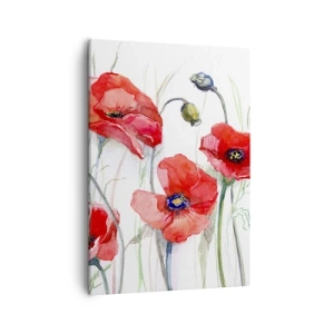 Quadro su tela - Stampe su Tela - Papaveri acquerellati su uno sfondo delicato - 50x70cm - Fiori polacchi - Decorazione murale moderna per soggiorno e camera da letto ARTTOR