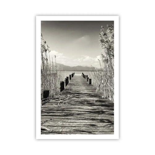 Poster - Nel silenzio dell'erba - 61x91 cm