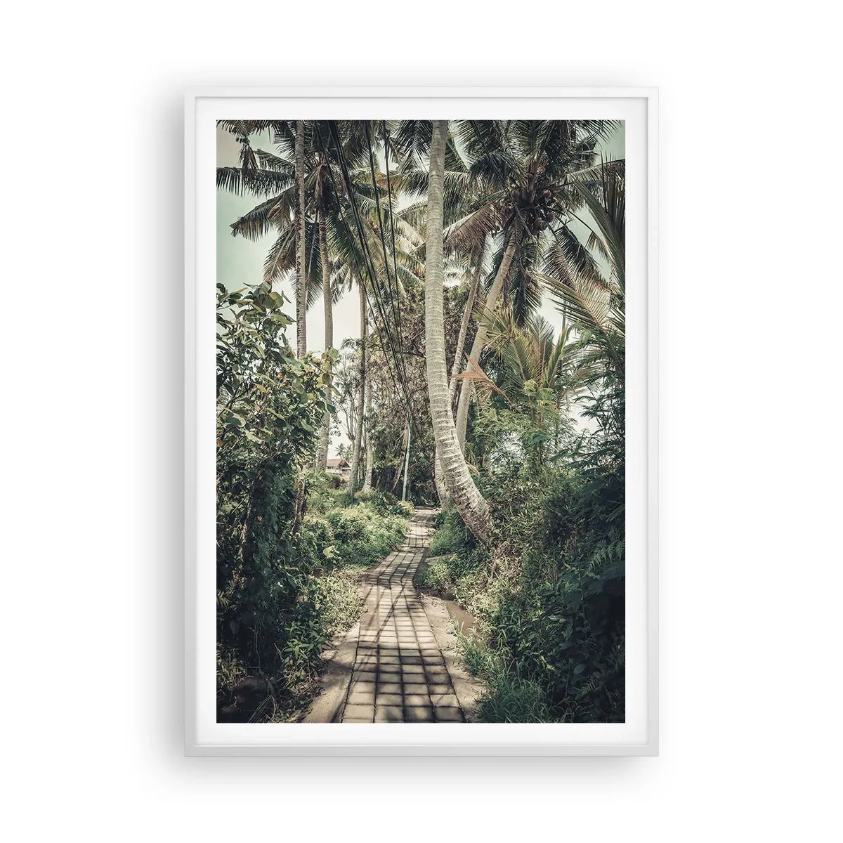 Poster in cornice bianca - Il viale delle palme - 70x100 cm