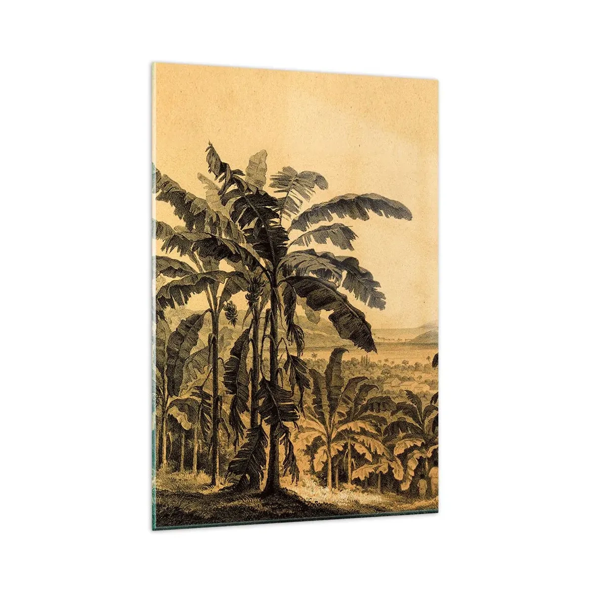 Quadro su vetro - Disegno di alberi di banana su uno sfondo di paesaggio tropicale - 80x120cm - Nel clima coloniale - Decorazione murale moderna per soggiorno e camera da letto ARTTOR