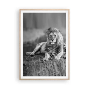 Poster in cornice rovere chiaro - La siesta del re - 70x100 cm