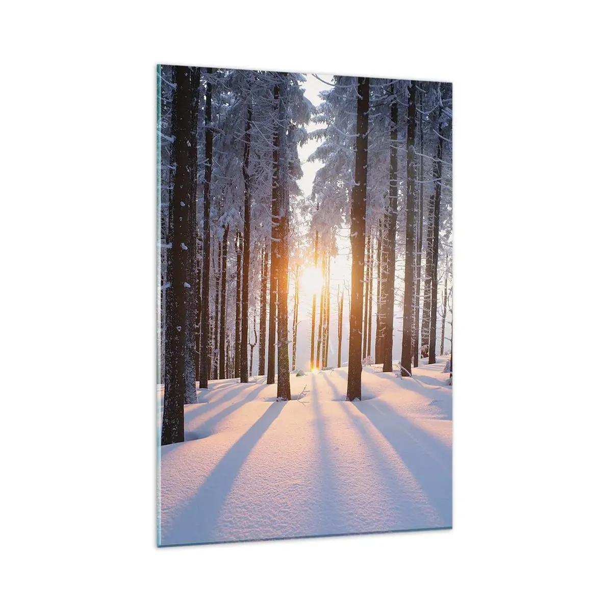 Quadro su vetro - Foresta invernale illuminata dai raggi del sole - 80x120cm - Decisamente nero su bianco - Decorazione murale moderna per soggiorno e camera da letto ARTTOR