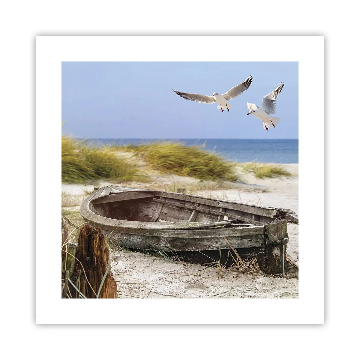 Poster - Bagnate dal vento - 40x40 cm