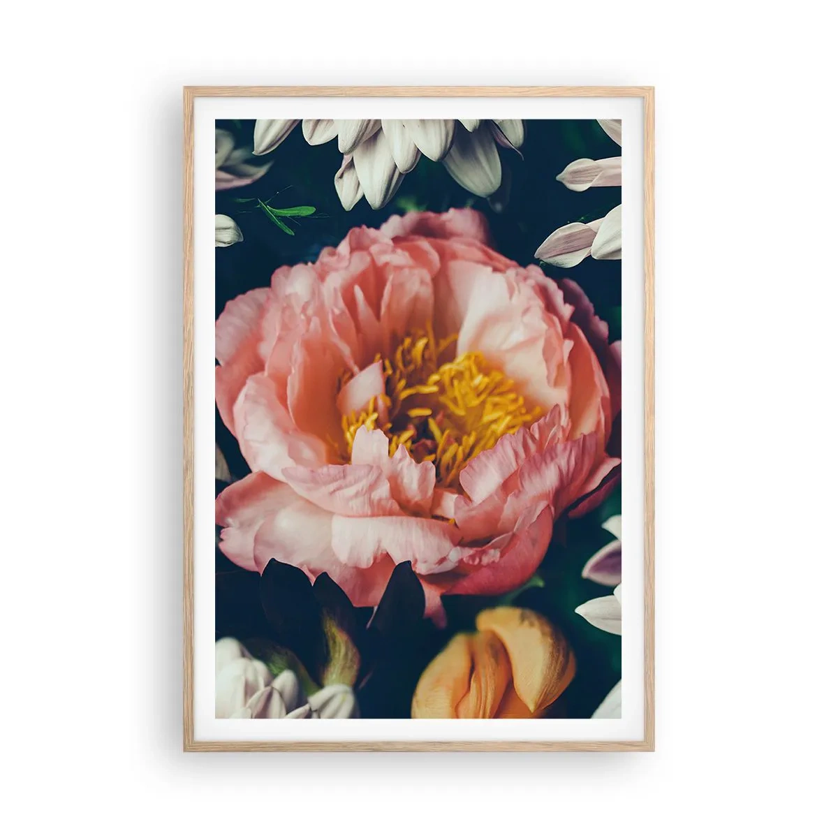 Poster in cornice rovere chiaro - Con fasto barocco - 70x100 cm