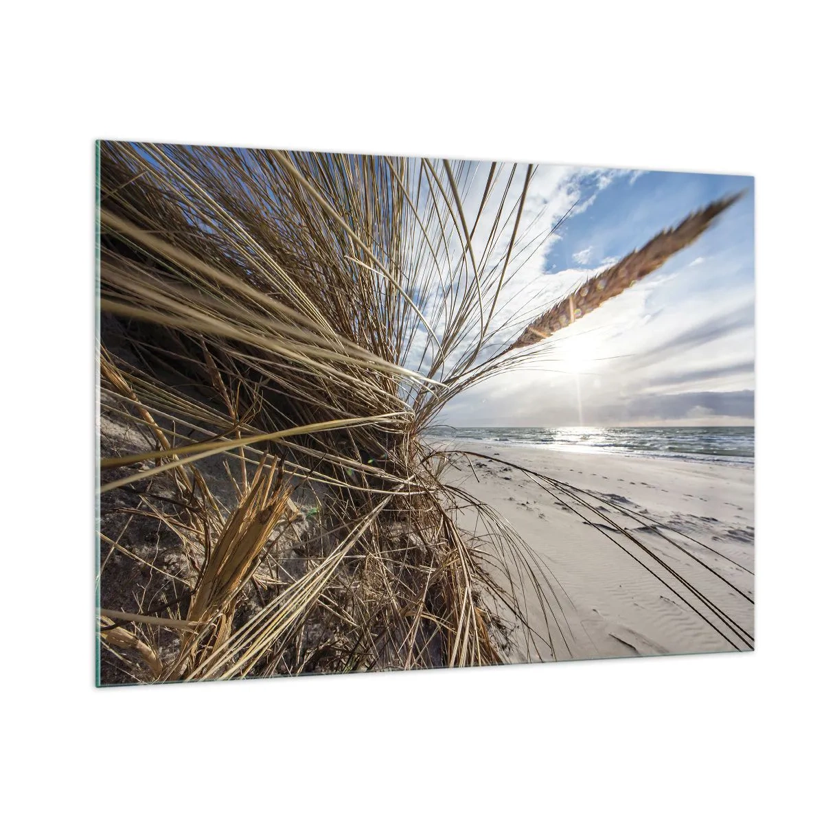 Quadro su vetro - Erba dorata sullo sfondo di una spiaggia sabbiosa e del mare - 100x70cm - L'incontro degli elementi - Decorazione murale moderna per soggiorno e camera da letto ARTTOR