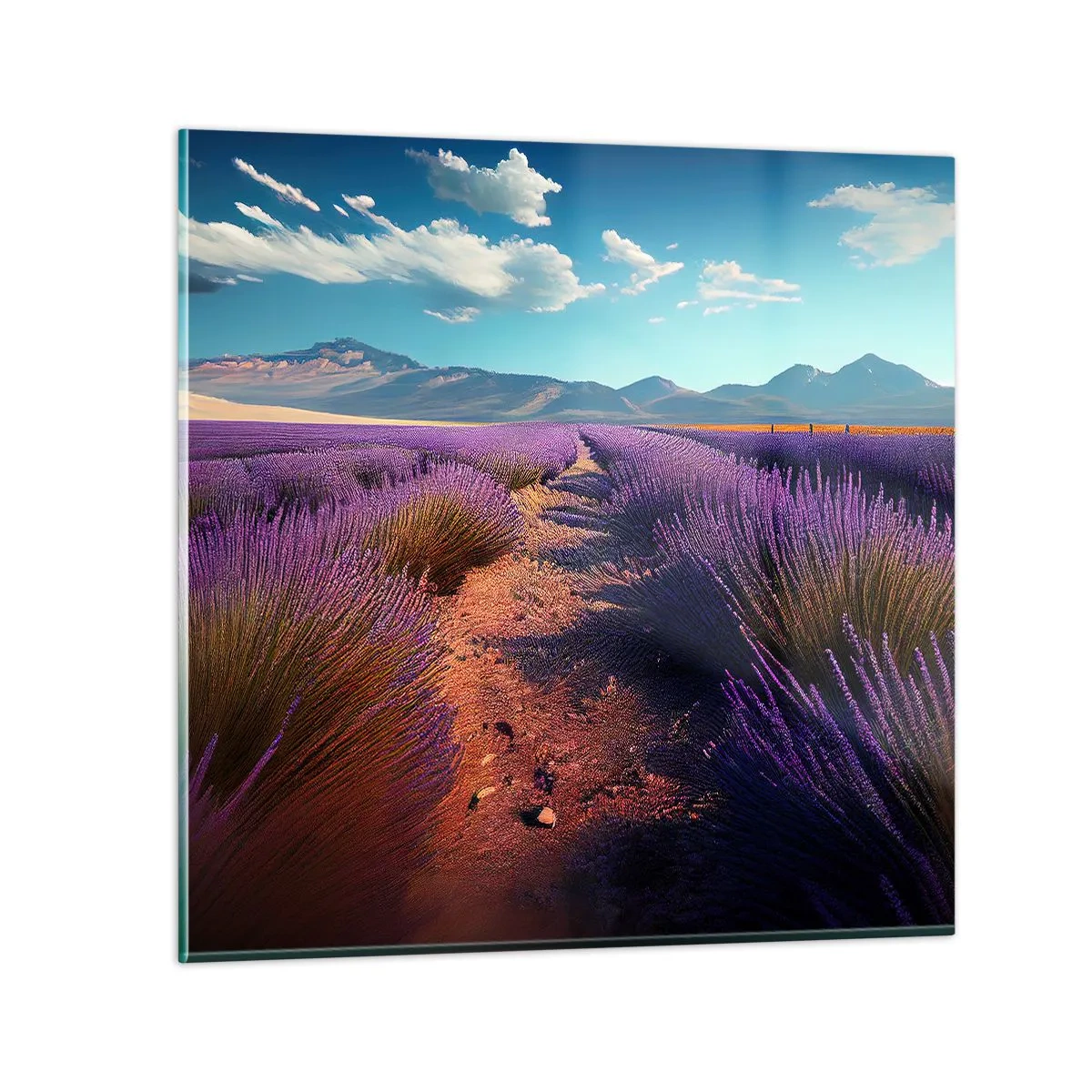 Quadro su vetro - Campi profumati - 30x30 cm