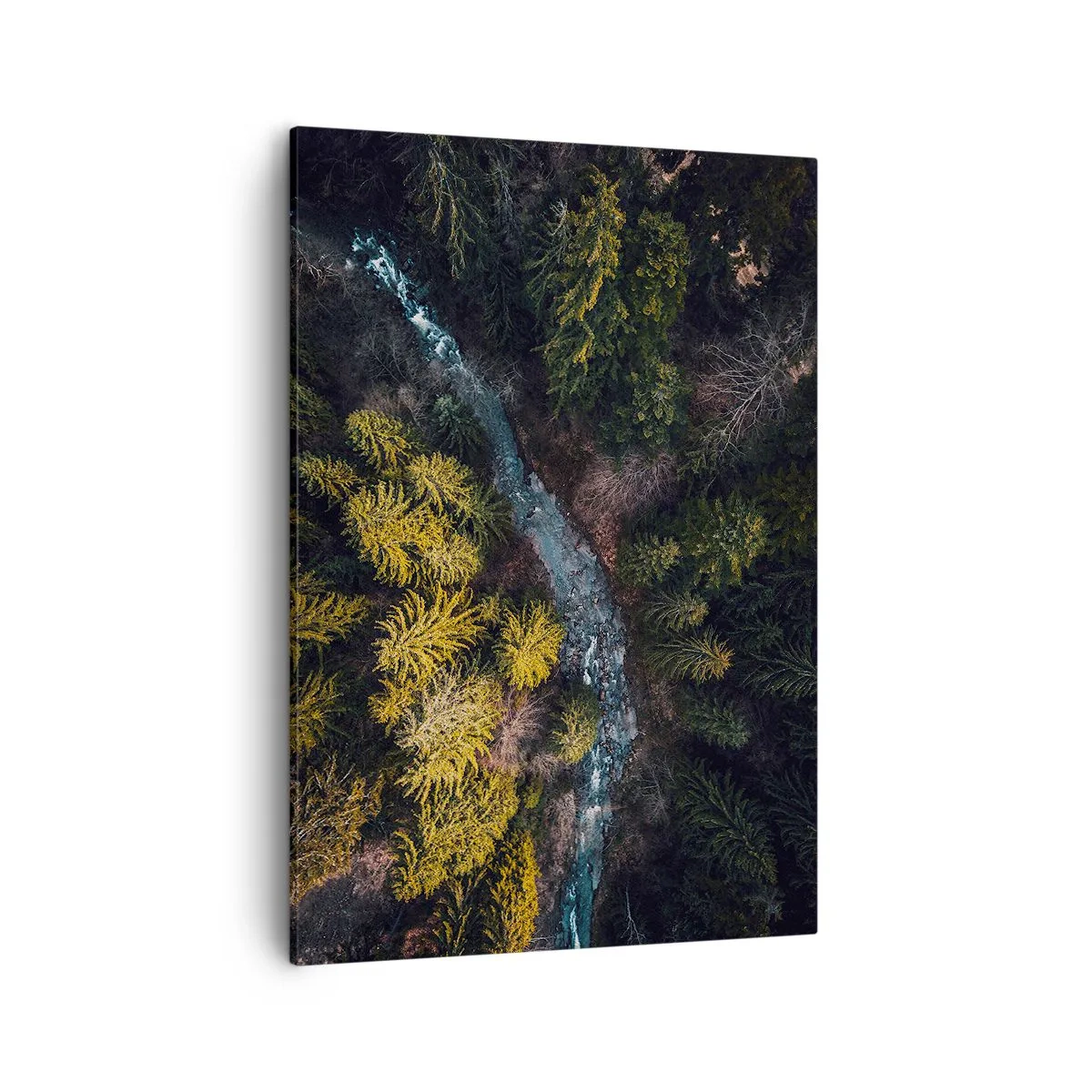 Quadro su tela - Stampe su Tela - Una vista dall'alto di una foresta con un fiume tortuoso - 50x70cm - Sempre più veloce - Decorazione murale moderna per soggiorno e camera da letto ARTTOR