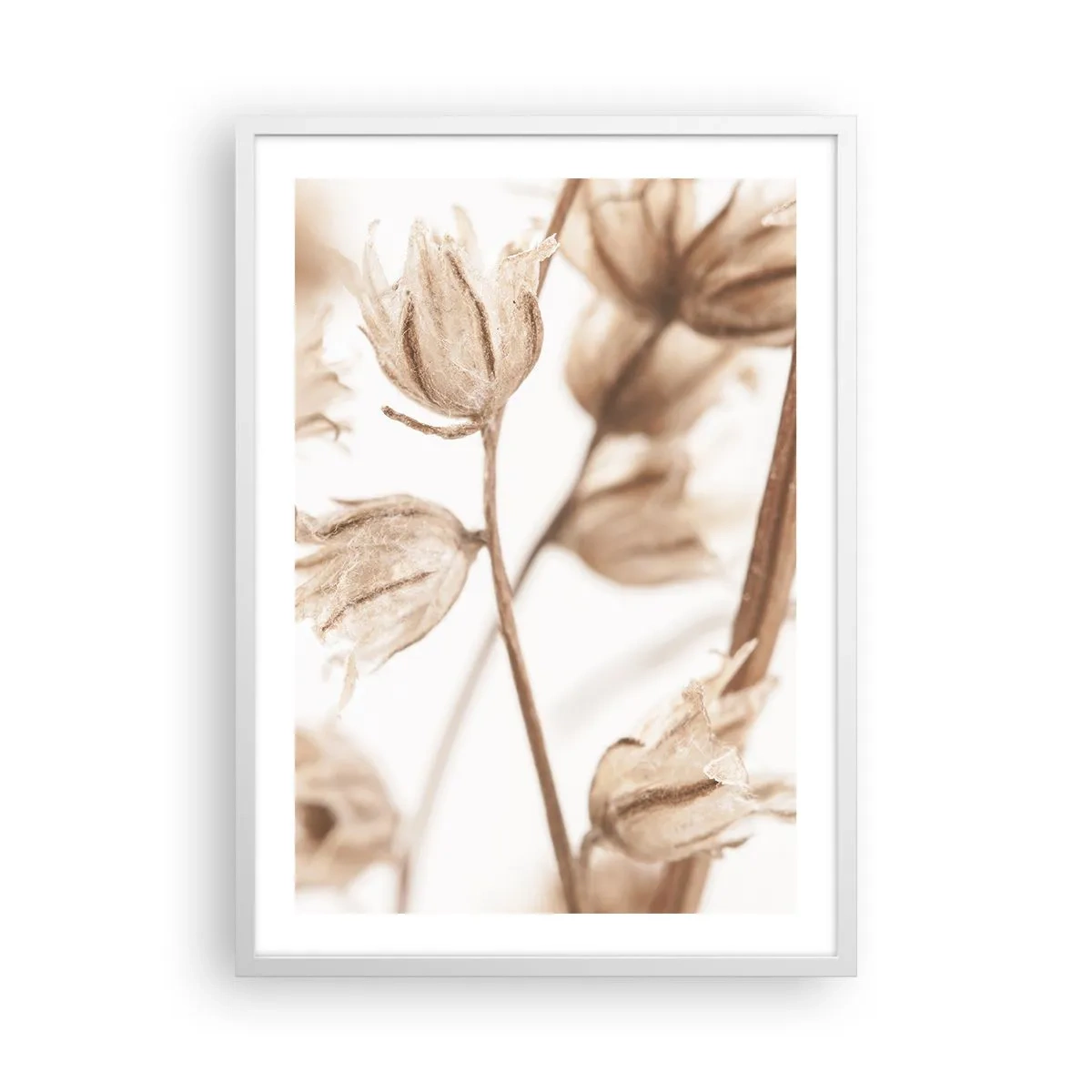 Poster in cornice bianca - Suonano alla fine dell'estate - 50x70 cm