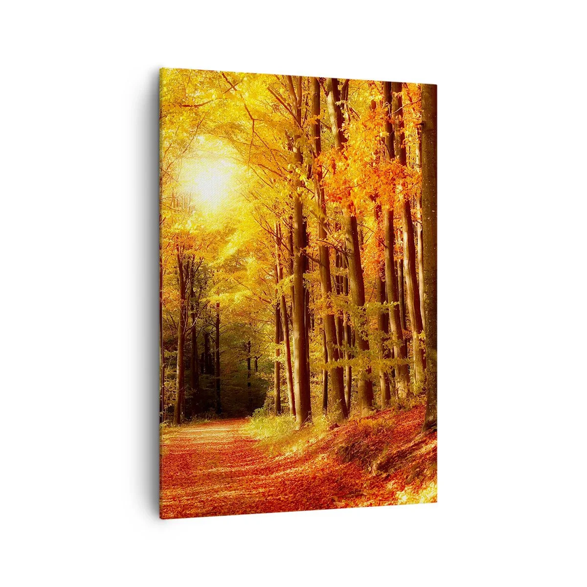 Quadro su tela - Stampe su Tela - Foresta autunnale con raggi di sole che brillano attraverso gli alberi - 70x100cm - Autunno dorato nella via nel bosco - Decorazione murale moderna per soggiorno e camera da letto ARTTOR