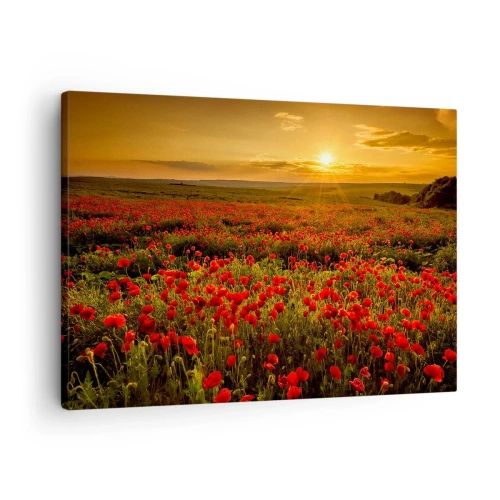 Quadro su tela - Stampe su Tela - Un campo di papaveri rossi al chiarore del sole al tramonto - 70x50cm - Tra il fruscio delle erbe, in un'esplosione di fiori - Decorazione murale moderna per soggiorno e camera da letto ARTTOR