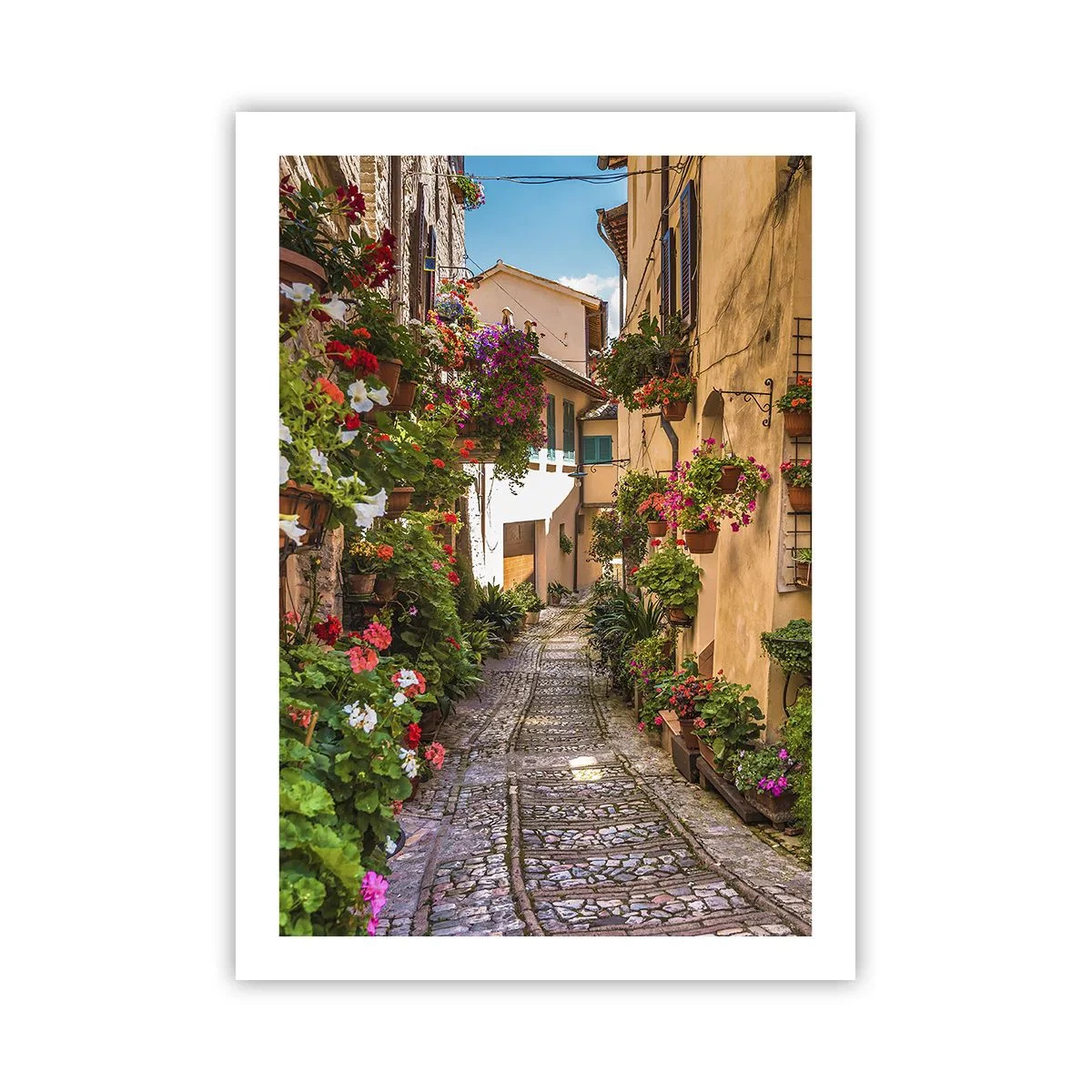 Poster - Una strada affascinante con fiori e un sentiero acciottolato in una giornata di sole - 50x70cm - Angolo italiano - Decorazione murale moderna per soggiorno e camera da letto ARTTOR