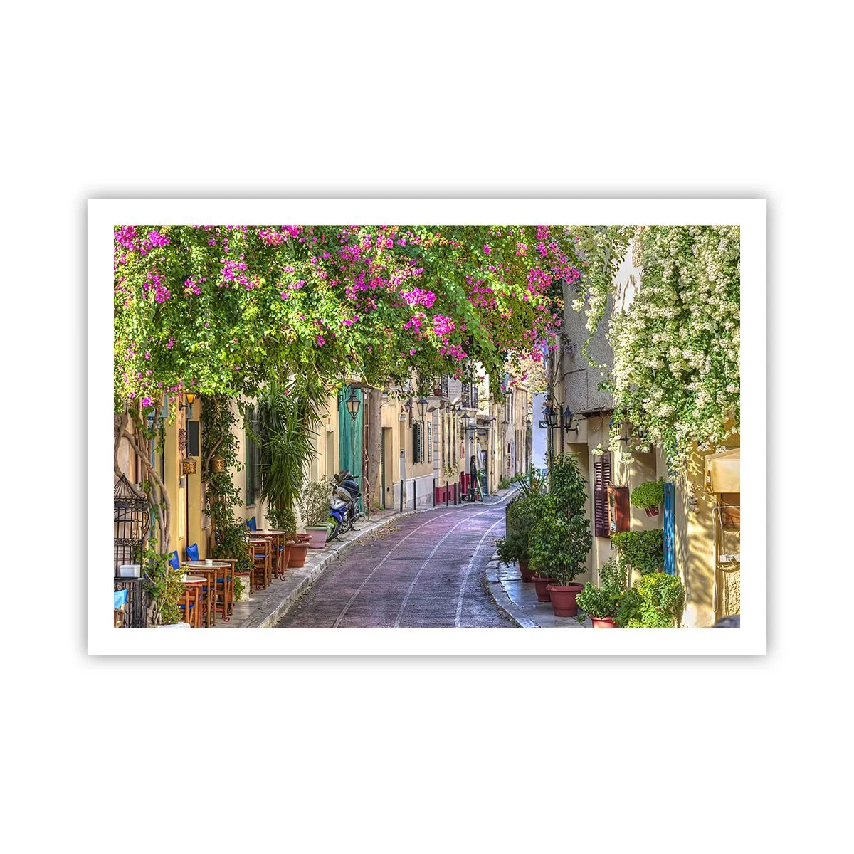 Poster - Angolo fiorito - 91x61 cm