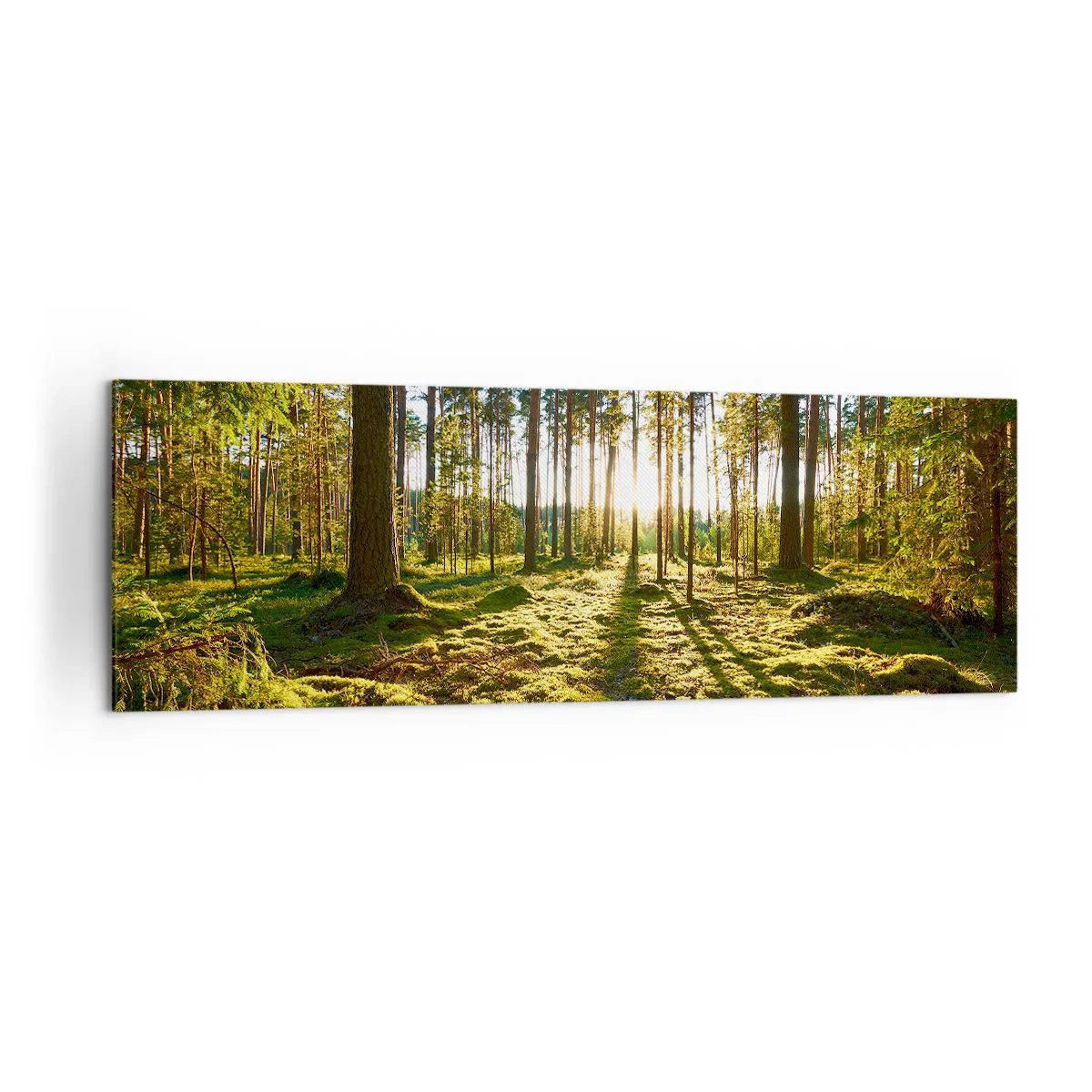 Quadro su tela - Stampe su Tela - Foresta verde illuminata dalla luce del sole sul muschio - 160x50cm - …dopo sette foreste - Decorazione murale moderna per soggiorno e camera da letto ARTTOR
