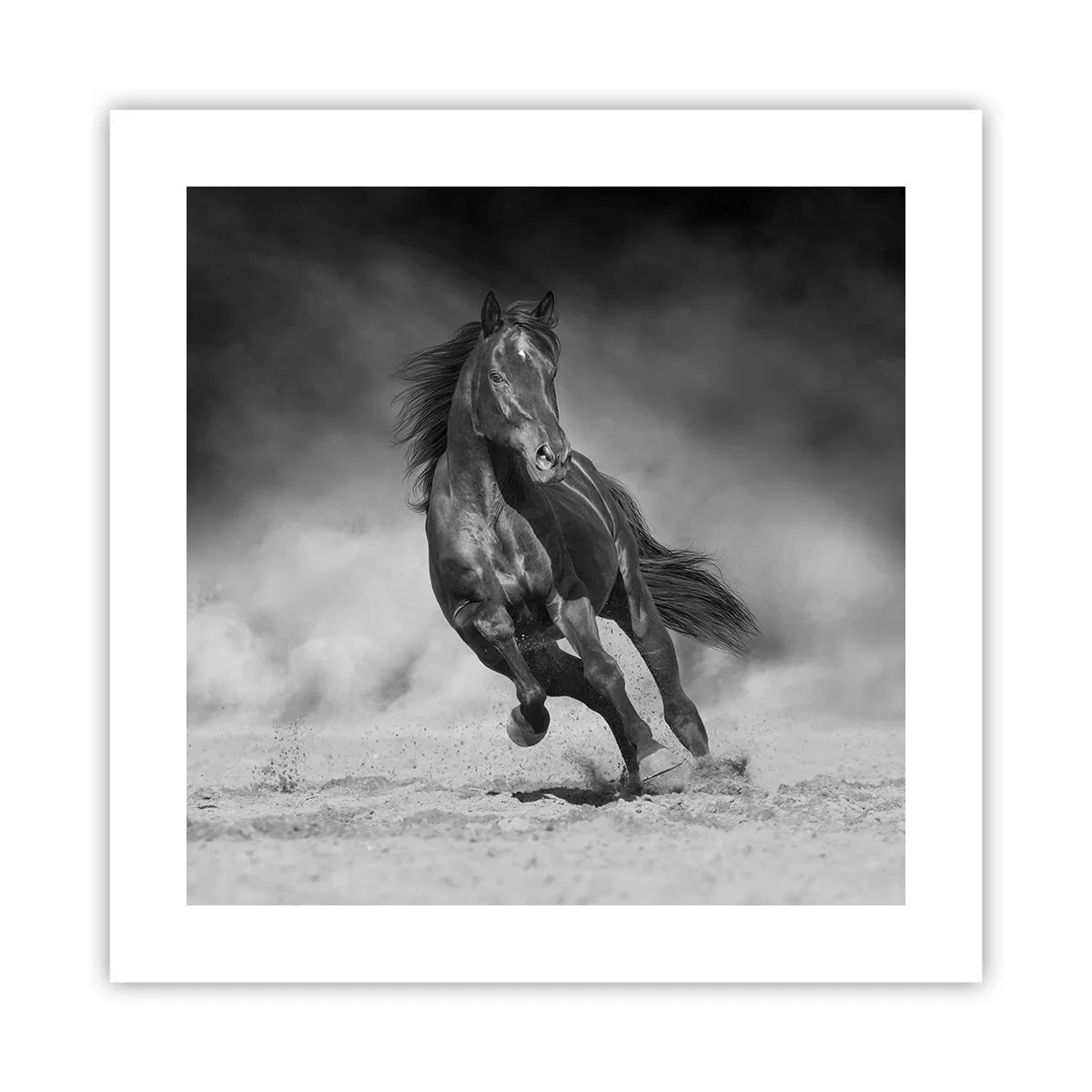 Poster - Degno dell'emiro - 40x40 cm