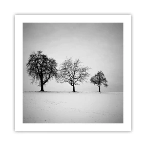 Poster - Cosa sognano? - 50x50 cm