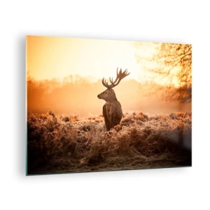 Quadro su vetro - Cervi sullo sfondo di un'alba in un paesaggio naturale - 70x50cm - Il signore sulle sue terre - Decorazione murale moderna per soggiorno e camera da letto ARTTOR