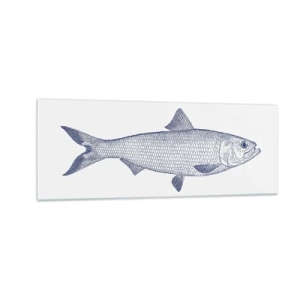 Quadro su vetro - Illustrazione di un pesce nei toni del blu su uno sfondo chiaro - 140x50cm - Un saluto dai mari del nord - Decorazione murale moderna per soggiorno e camera da letto ARTTOR