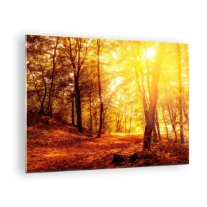 Quadro su vetro - Foresta autunnale illuminata dal caldo bagliore del sole - 70x50cm - Verso la radura dorata - Decorazione murale moderna per soggiorno e camera da letto ARTTOR