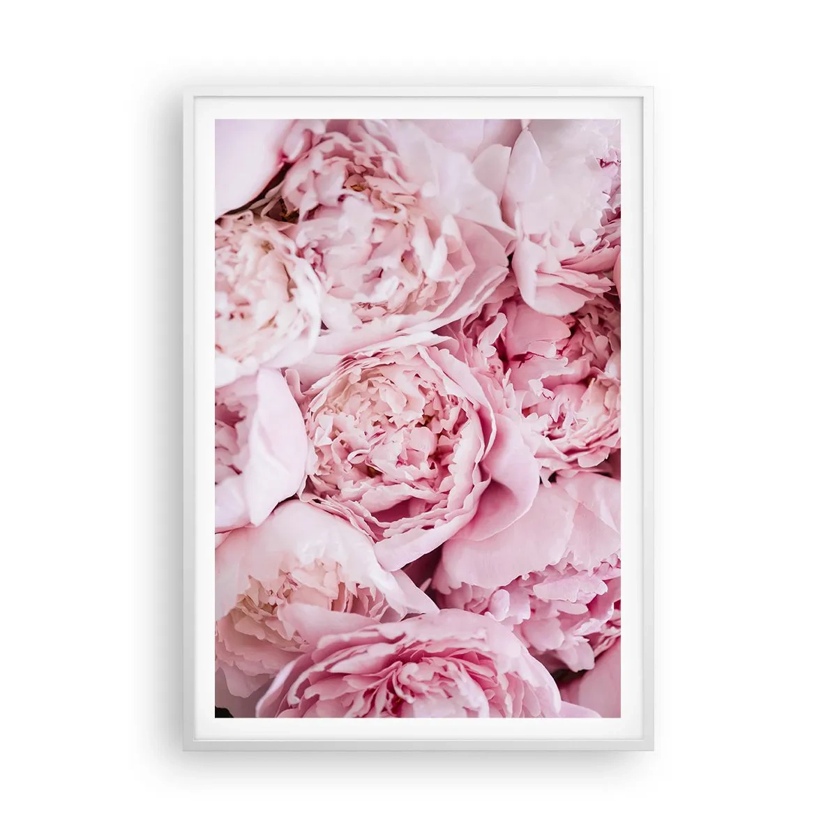 Poster in cornice bianca - Morbide e profumate - 70x100 cm