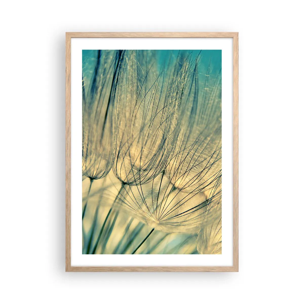 Poster in cornice rovere chiaro - Aspettando il vento - 50x70 cm