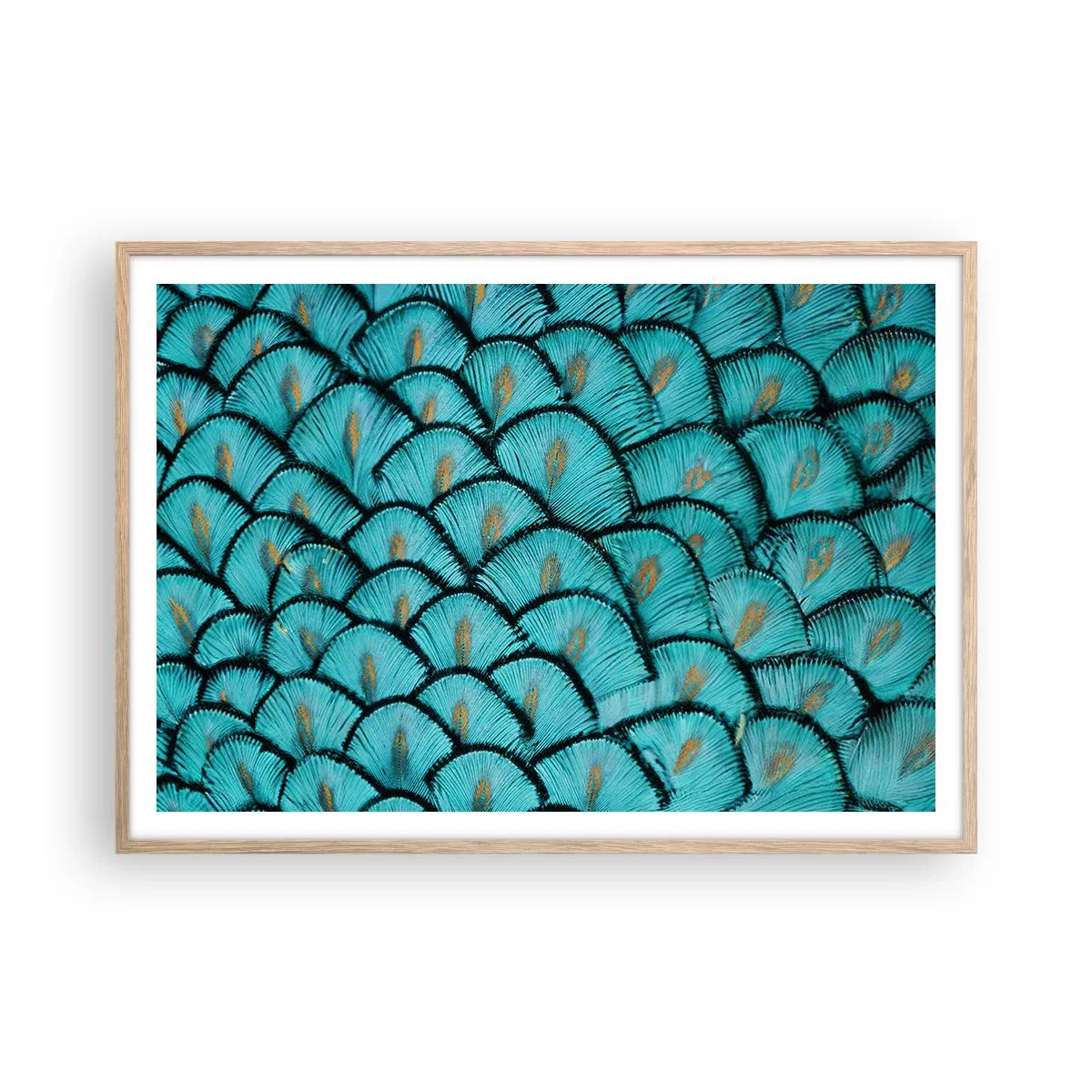 Poster in cornice rovere chiaro - La grande festa delle piume - 100x70 cm