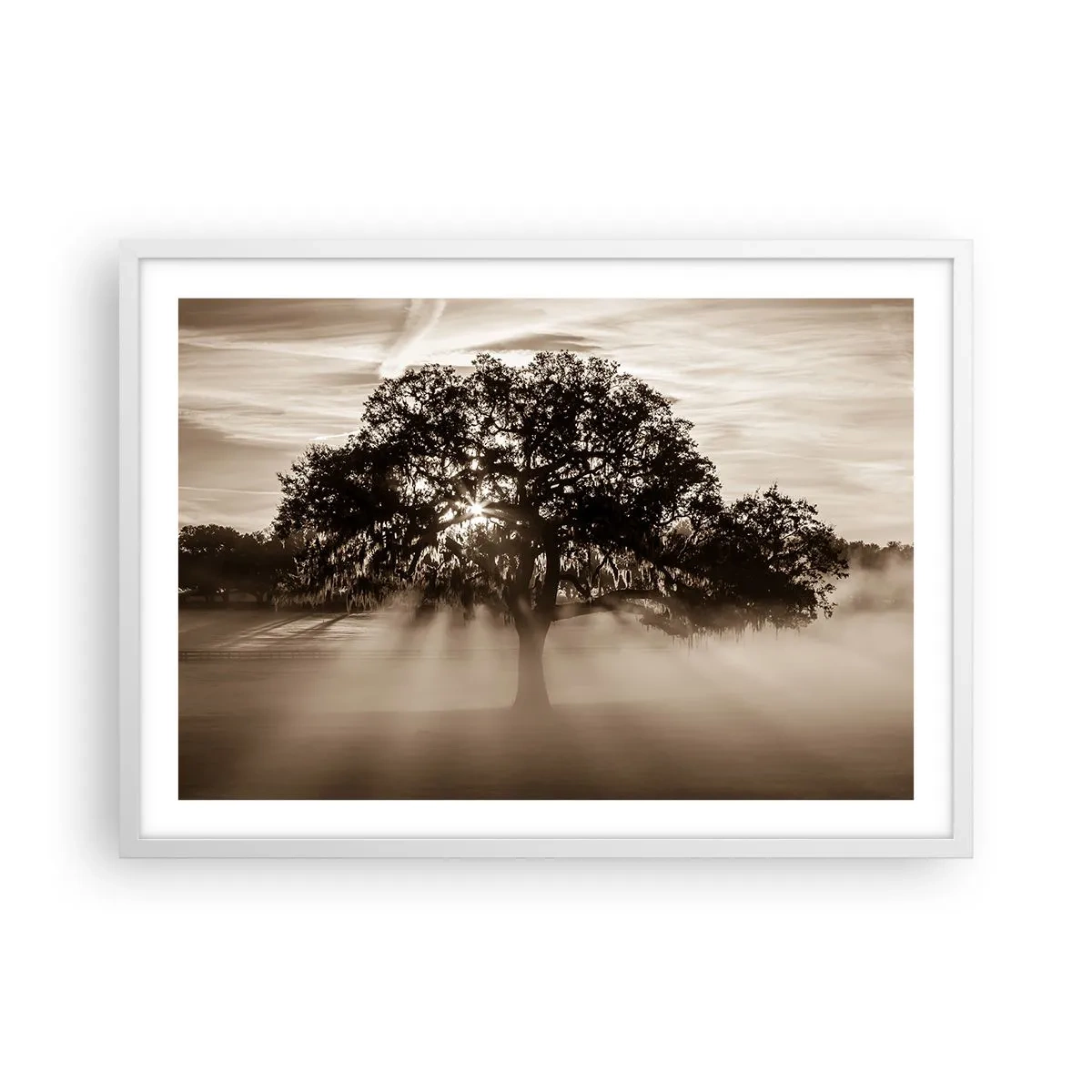 Poster in cornice bianca - L'albero delle sole buone notizie - 70x50 cm
