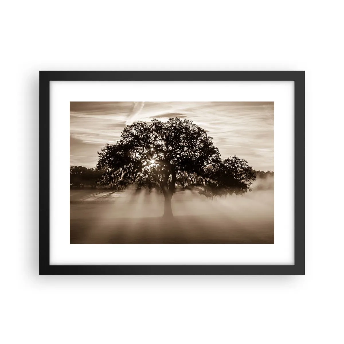 Poster in cornice nera - L'albero delle sole buone notizie - 40x30 cm