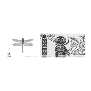 Campione di Fotomurale Premium Canvas - La precisione della natura - Libellula, Insetto, Minimalista - 100x30 cm