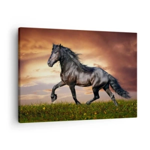 Quadro su tela - Stampe su Tela - Un cavallo nero che galoppa contro il sole al tramonto - 70x50cm - Il principe nero - Decorazione murale moderna per soggiorno e camera da letto ARTTOR