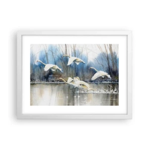 Poster in cornice bianca - Come la favola dei cigni selvatici - 40x30 cm